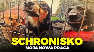 🐕 ZATRUDNIŁEM SIĘ W SCHRONISKU 🐕 nowi kumple ❤️ MOJE MINI ZOO  odc 295 [upl. by Adierf]