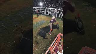 Jo iska Parr kar lenga rodeo bull cowboys horse trendingshorts youtubeshorts cowboylifestyle [upl. by Hampton]