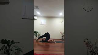 Transform Your Body with Halasana Pose Yoga [upl. by Nnel392]