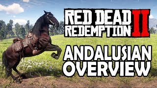 Andalusian Overview  Red Dead Redemption 2 Horses [upl. by Nevek]