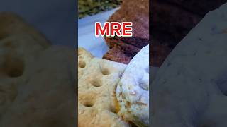 Best homemade survival MRE recipe mre pemmican survivalfood [upl. by Ros858]