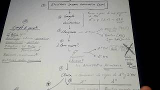 Esquema en 8 minutosEsclerosis Lateral Amiotrófica  ELA [upl. by Hilda]