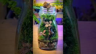 Micro Paludarium Build terrarium relaxing shorts [upl. by Ardnod548]