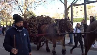 IGUALADAANOIA TRES TOMBS 2023 [upl. by Etterraj]