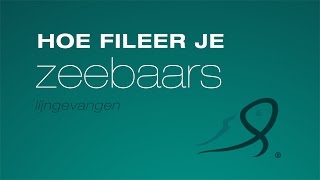 Hoe fileer je zeebaars lijngevangen [upl. by Tupler116]