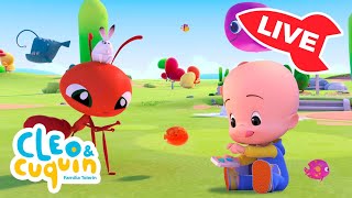 🔴 DIRECTO 🔴 Canciones infantiles y vídeos educativos de Cleo y Cuquín  shorts live directo [upl. by Saisoj347]