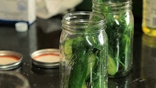 Dill Pickle Recipe  Bootleg Tip [upl. by Yordan]