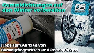 EINFRIEREN VERHINDERN Gummileisten und Türdichtungen pflegen und auf Winter vorbereiten [upl. by Elvina]