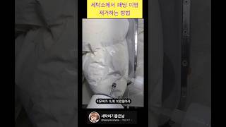 1L에 10만원짜리 약품으로 패딩 이염제거하는 방법 세탁소 패딩 세탁 [upl. by Azilem507]