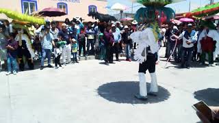 Carnaval Xonacatepec 2018  Baile de la Culebra [upl. by Ardith]