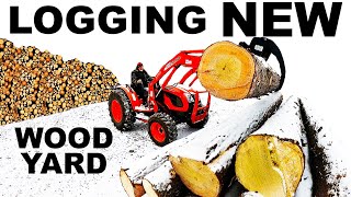 LOGGING  HAND CUTTING  A NEW WOODYARD [upl. by Hannus]