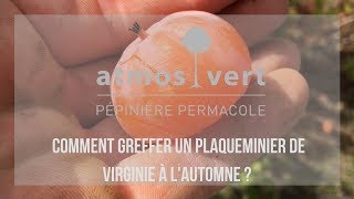 🍂 Comment greffer un Fruitier à l automne [upl. by Saied]