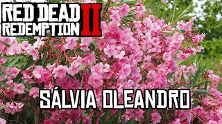 LOCALIZAÇÃO DE SÁLVIAOLEANDRO RED DEAD REDEMPTION 2 DESÁFIO DIÁRIO XBOXPS4PS5PC [upl. by Bellina]