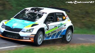 Test Sachsen Rallye  Waldhaus 2018 HD [upl. by Cinemod]