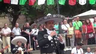 Mariachis en Barcelona La Malagueña José González Grito Independencia Mexicana 2014 [upl. by Leventis537]