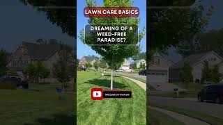 How To Get Rid Of Weeds And Have A Perfect Lawn grass lawn [upl. by Faus]