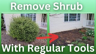 How to remove a large bush with regular tools [upl. by Tanner]