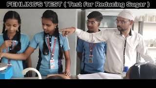 Fehlings Test  Detection of Reducting Sugar plusscience practical tollens fehlings [upl. by Hester824]