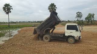 Epic 3 Wow Amazing Bulldozer D37P Pushing Forest In The Field To Easily Push The Fill Land In Lake [upl. by Nedearb876]