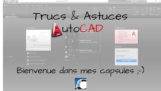 Commande AutoCAD  Rename amp Spell [upl. by Geller]