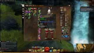 Gw2 Ranger Condition Guide Bunker GermanHD [upl. by Pendleton786]