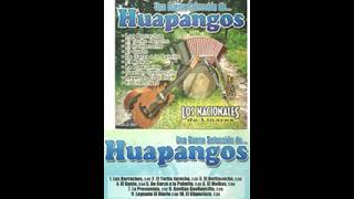 Los Nacionales de Linares  UNA BUENA SELECCION DE HUAPANGOS Album Completo 10 EXITOS [upl. by Atikir]