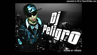 DJ Peligro Feat DJ Surprise  Perreo Flash Original Prod By DJ Peligro amp DJ Surprise 2009 [upl. by Sorgalim52]