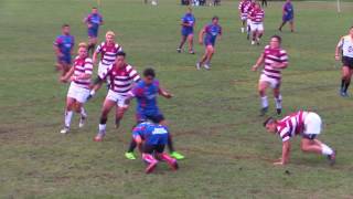 Ngongotaha 31 vs Poroporo 10 Highlights BOP Rugby [upl. by Ano470]