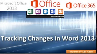 How to Use Track Changes in Microsoft Word [upl. by Iborian74]