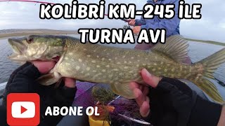 KOLİBRİ KM245 İLE SABAH SUYU TURNA AVI [upl. by Eleumas101]