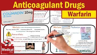 Pharmacology CVS 22 Anticoagulant Drugs  Part 2 Warfarin mechanism of action  Coumadin [upl. by Xanthus]