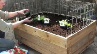 Moestuin op wielen 14 april 2012mp4 [upl. by Fineberg296]