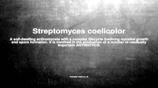 Medical vocabulary What does Streptomyces coelicolor mean [upl. by Alfred309]