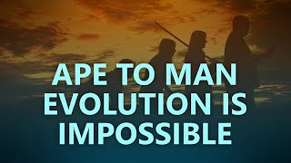 The impossibility of ape to human evolution [upl. by Einnal]