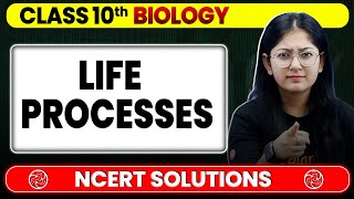 Life Processes  NCERT Solutions  Class 10 Biology Chapter 5  Board Exam 2025  Khushboo Mam [upl. by Acirtap]