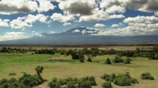 Echo and the Elephants of Amboseli Promo [upl. by Shae]