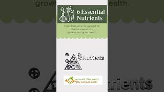 6 essential nutrients healthy lifestylenutritionbalanced diet modify yourself change lifestyle [upl. by Maurie]