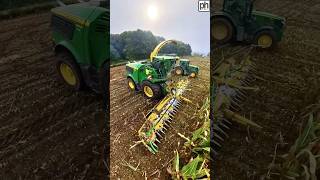 John Deere 9900i Self Propelled Forage Harvester on Maize Silage agri [upl. by Laitselec943]