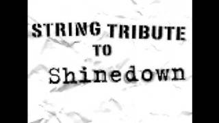 Shinedown Second Chance String Tribute [upl. by Oakes]