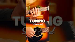 How to Tune an Acoustic Guitar for Beginners  StepbyStep Guide [upl. by Carmen]