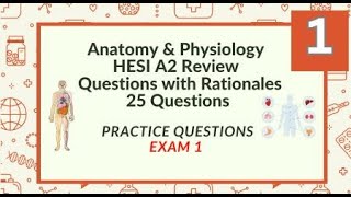 HESI A2 Anatomy and Physiology Practice Test 25 Questions Test 1 [upl. by Ecadnac]