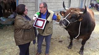 Entrevista a José Manuel Vega El Campo de Asturias [upl. by Gaskill]