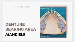 DENTURE BEARING AREA MANDIBLE [upl. by Sul]