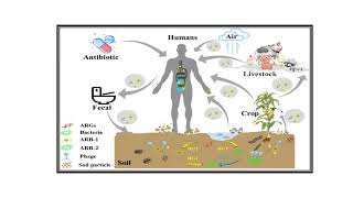 Antibiotic resistance genes Video No 496 [upl. by Lonne]