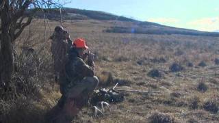 Hunting Whitetail Deer Alberta Canada Winchesters World Of Whitetails With Willow Creek Outfitters [upl. by Perusse]