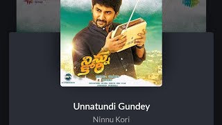 Attempt of Unnattundi Gundey song from Ninnu Kori movie [upl. by Denby]