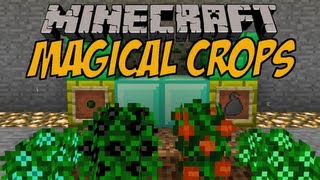 ERZE WACHSEN ALS PFLANZEN  Magical Crops Mod  Minecraft Mod Review DEUTSCH [upl. by Horatius]