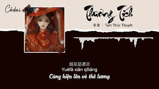 Vietsub  Pinyin Thương Tích  落傷  Tam Thúc Thuyết [upl. by Nahtannoj]