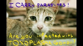 Parasites in the News Toxoplasma Gondii  Do your Cats have it in for you [upl. by Ahsenroc902]