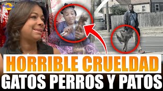 HAITIANA REVELA PORQUE SE COMEN LOS GATOS Y PERROS EL GRAN AMOR POR LAS MASCOTAS [upl. by Yerfdog]